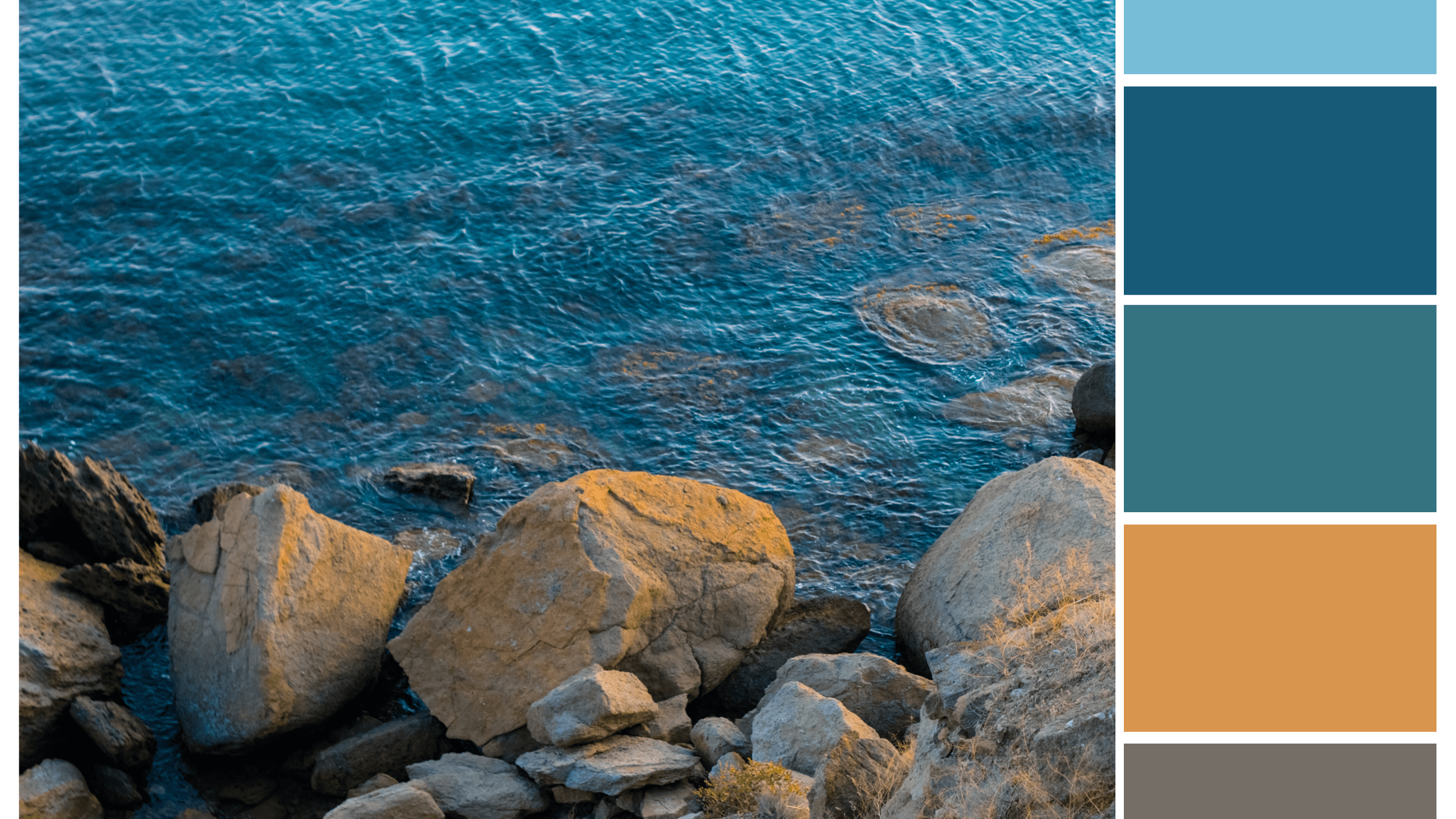 Warm and Cool Colours